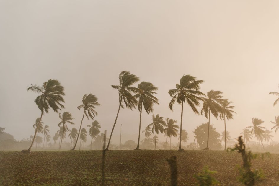 ONU advierte del Fenómeno El Niño 'sin precedentes' como fuerza destructiva