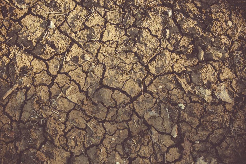 Emergencia nacional: 707 distritos afectados por sequía extrema